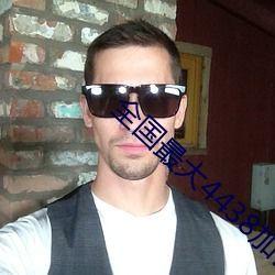 av国产网站,内容丰富，尺度各异，揭秘行业现状与监管挑战